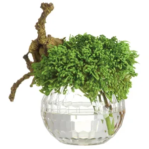 10"Hx9"W Sedum & Driftwood Artificial Arrangement w/Glass Vase -Green