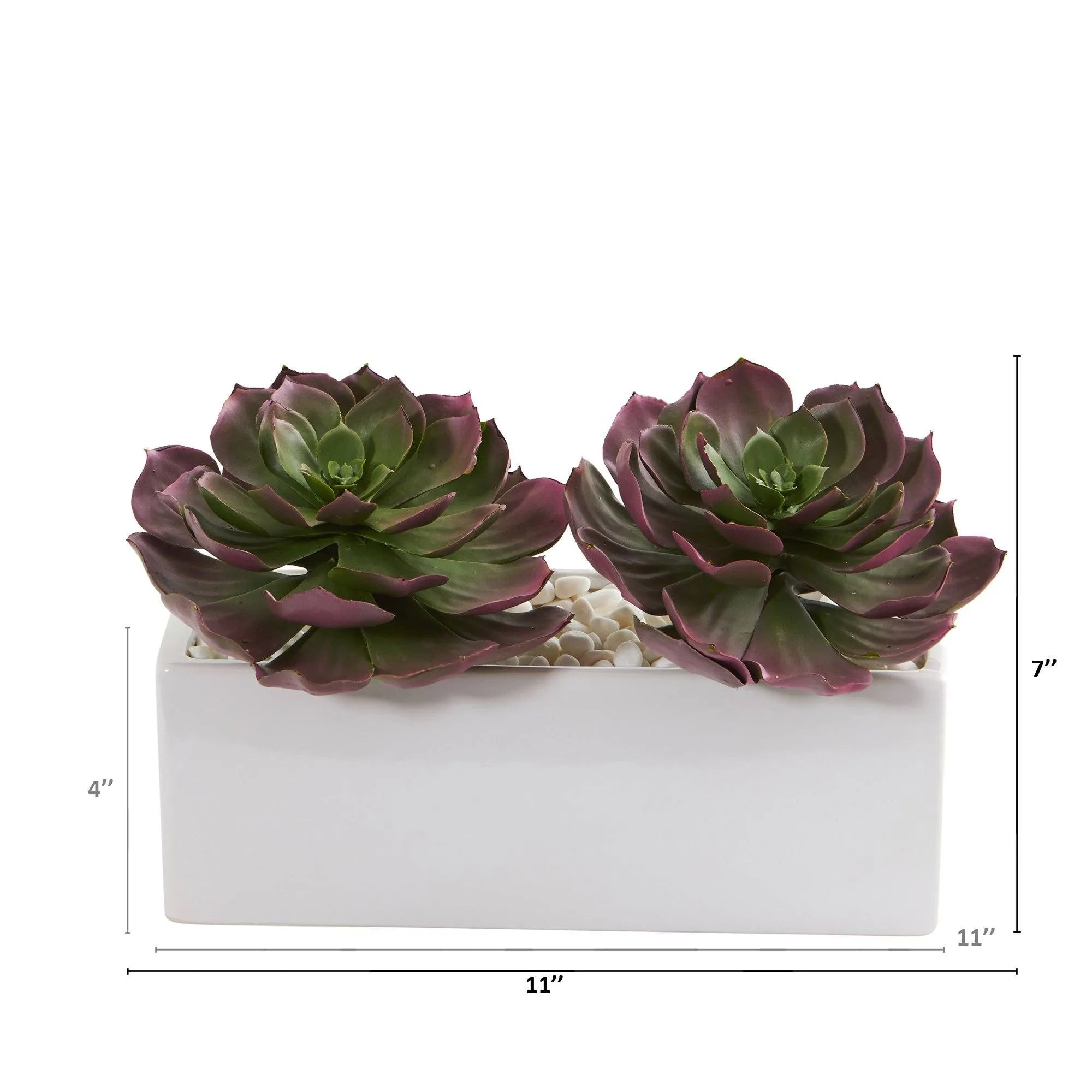 11” Echeveria Succulent Artificial Plant in White Planter