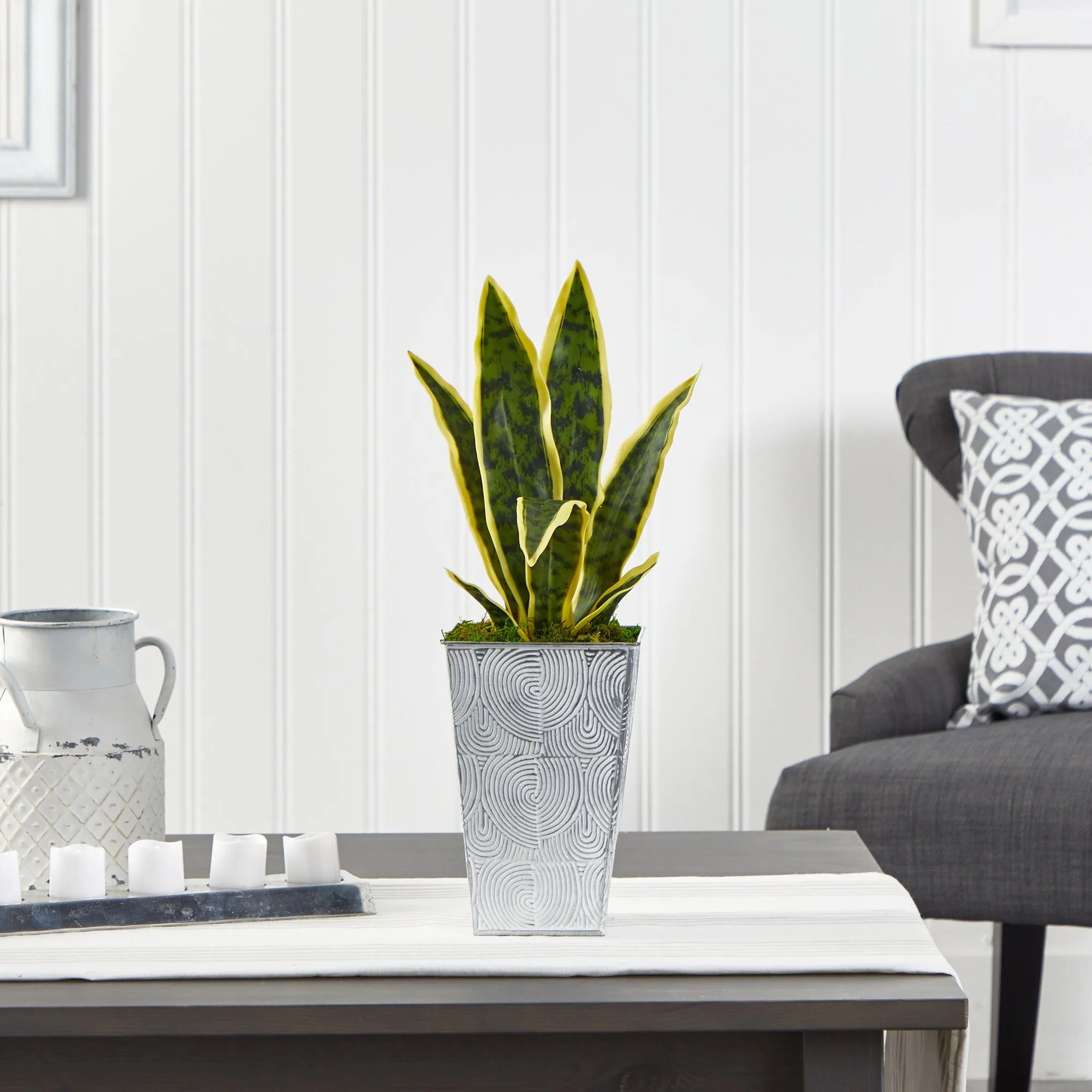 18” Sansevieria Artificial Plant in Embossed White Planter