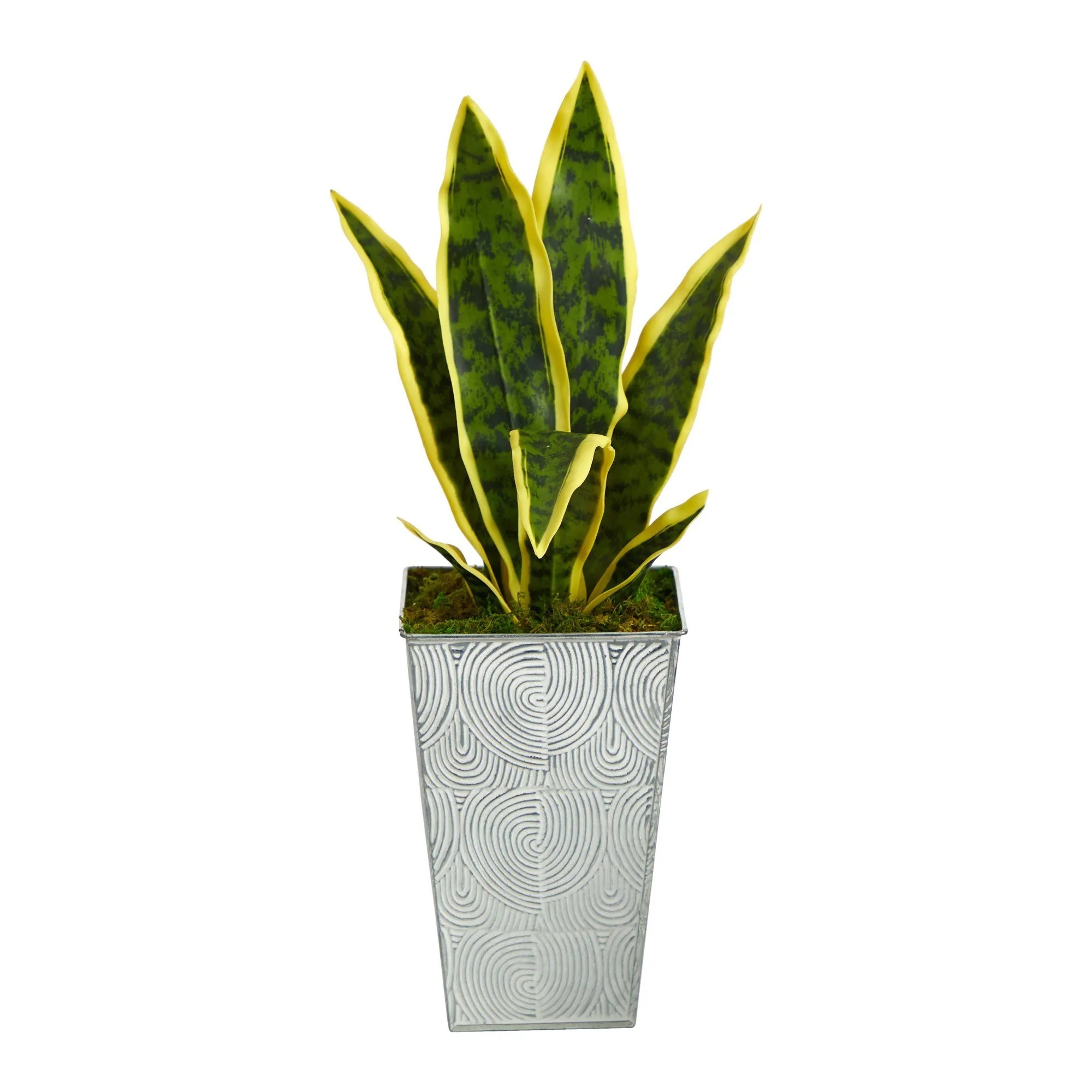 18” Sansevieria Artificial Plant in Embossed White Planter