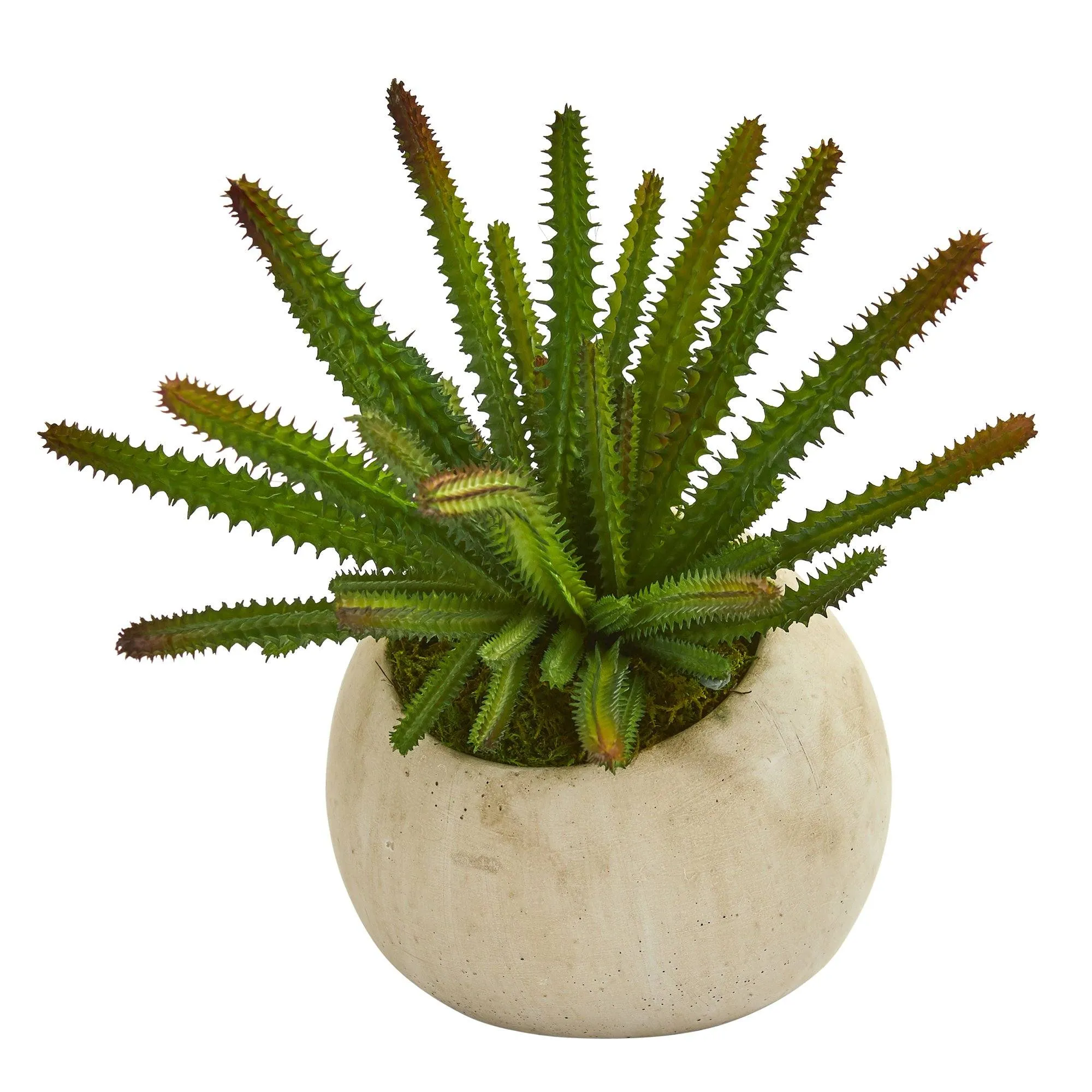 9” Cactus Succulent Artificial Plant in Stone Planter