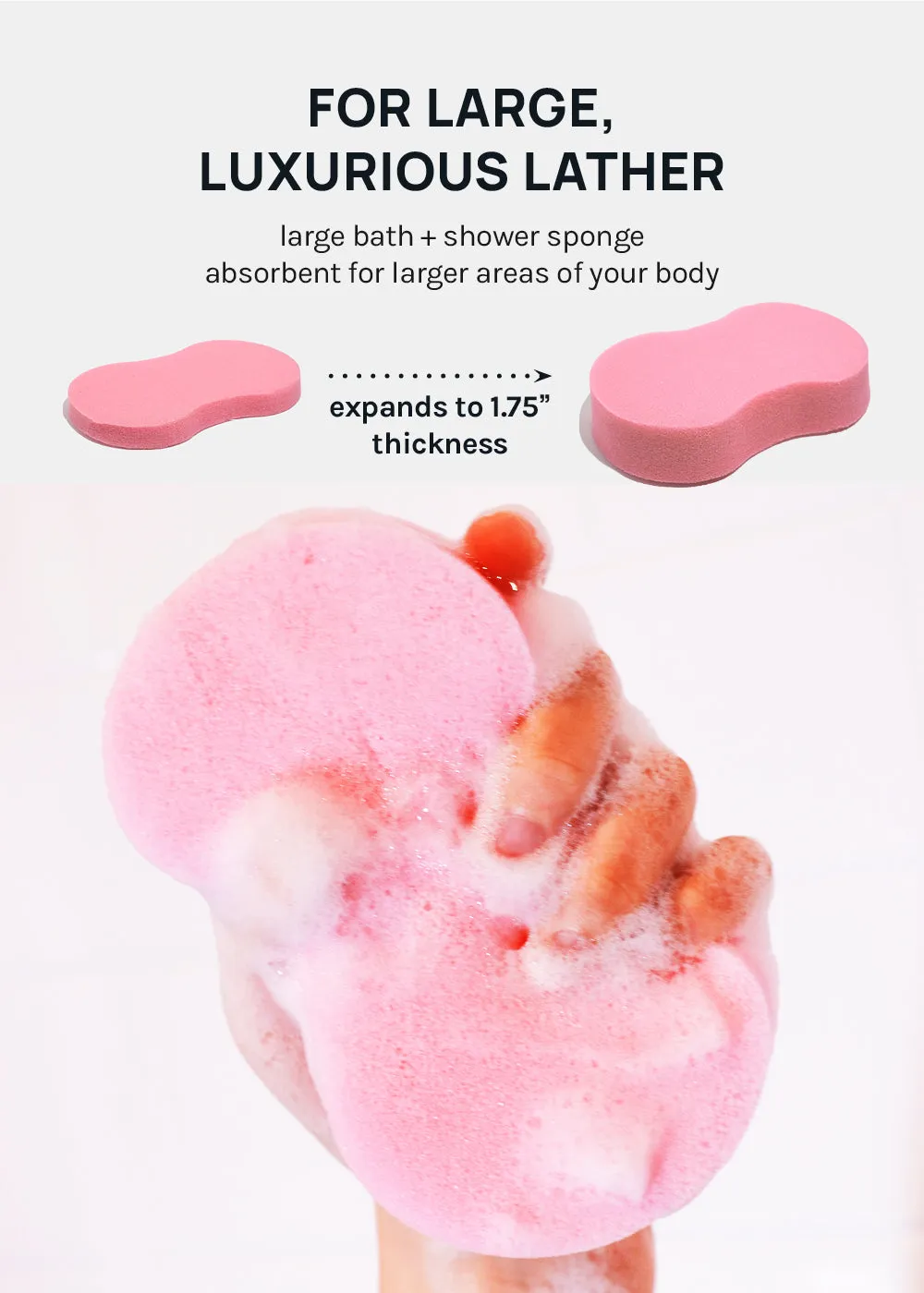 AOA Large Expanding Bath Sponge