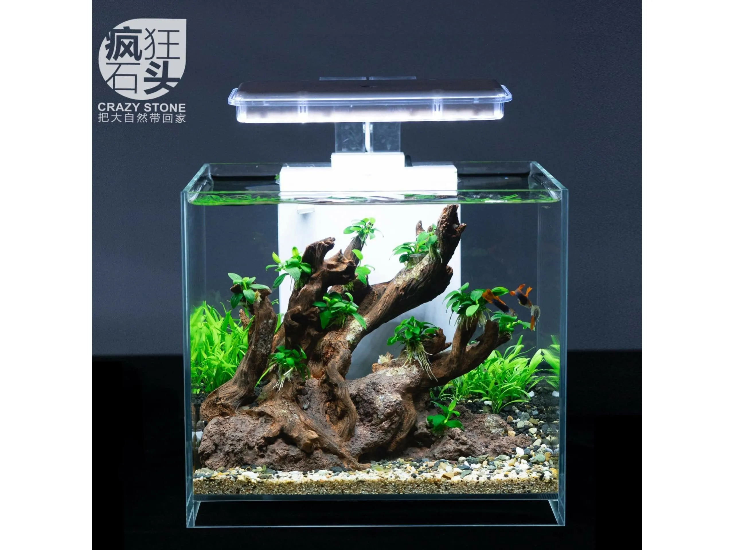 Aquarium landscape package A-1