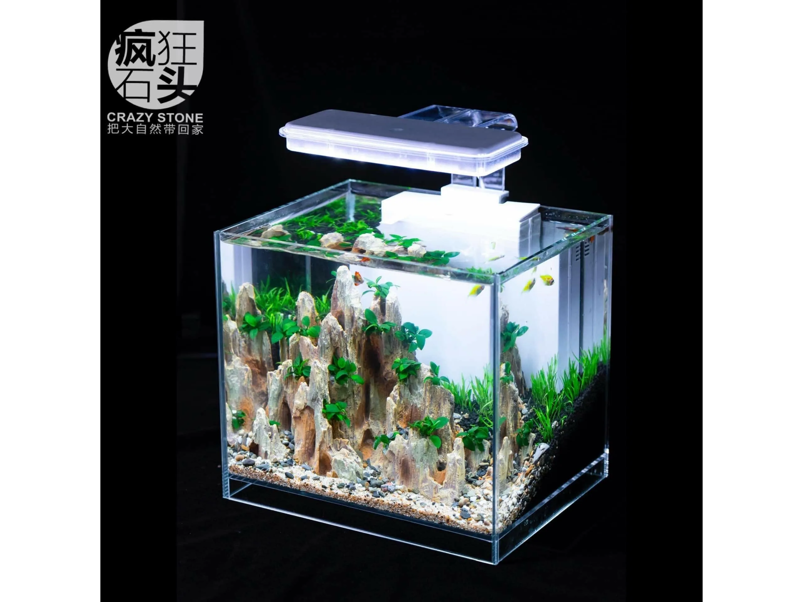 Aquarium landscape package A-2