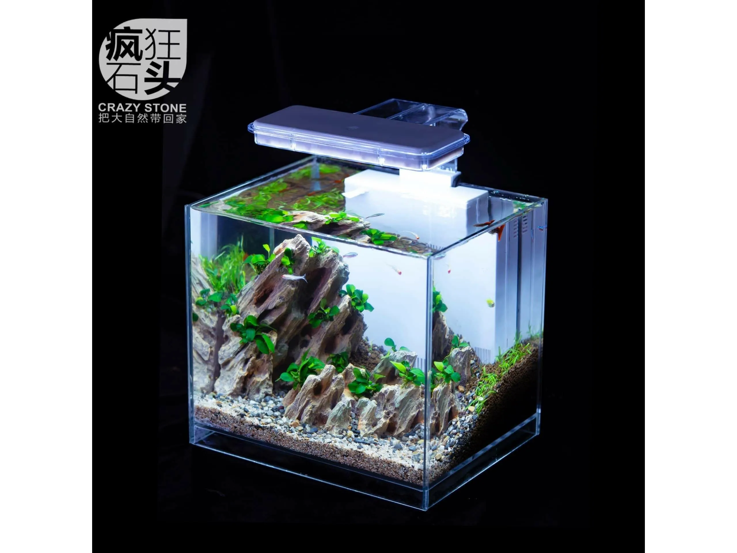 Aquarium landscape package A-5