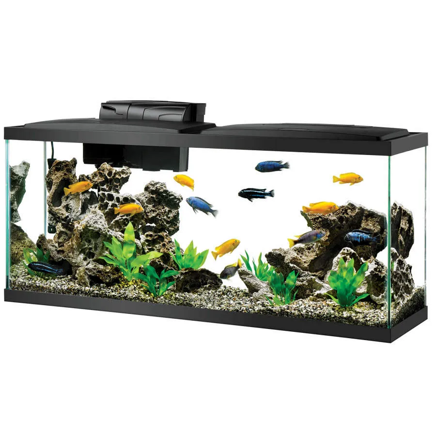 Aqueon Aquarium Starter Kit with LED Lighting