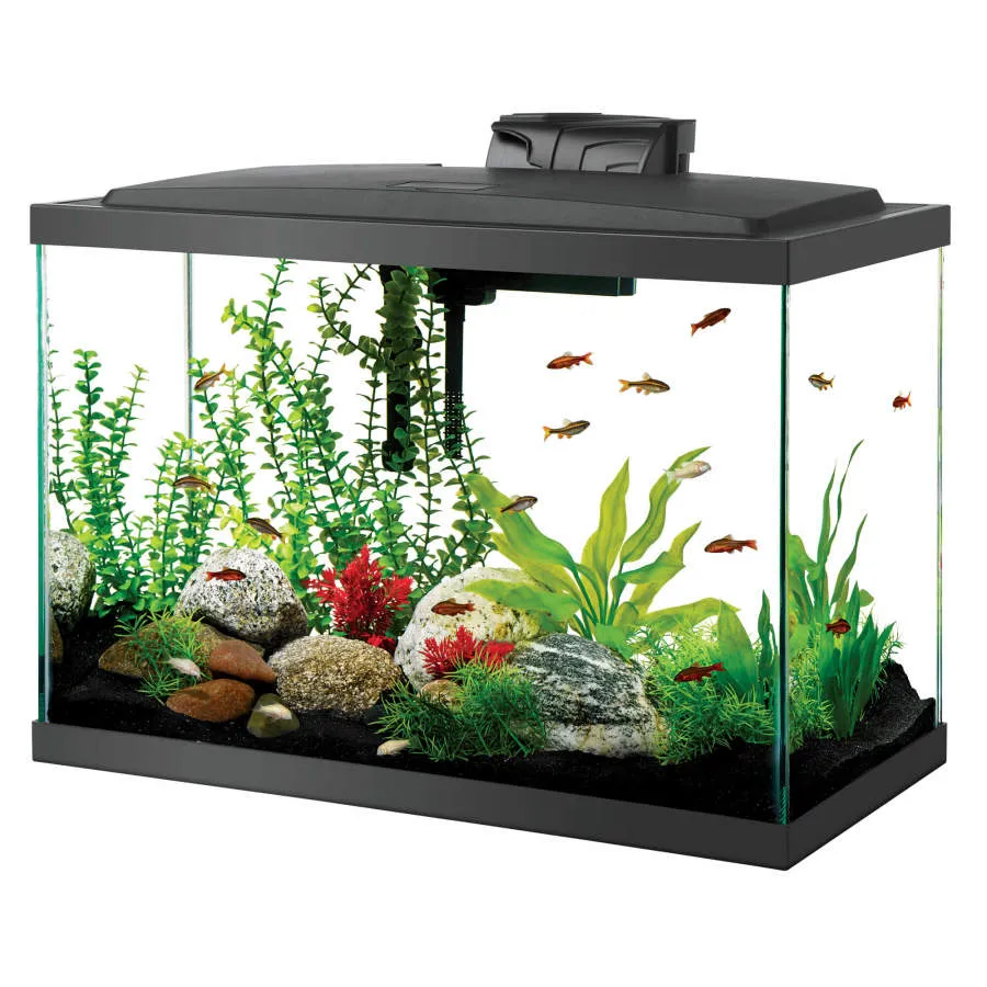 Aqueon Aquarium Starter Kit with LED Lighting