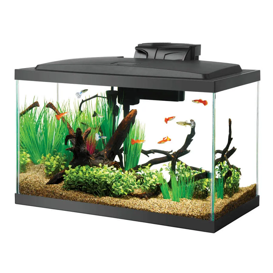 Aqueon Aquarium Starter Kit with LED Lighting