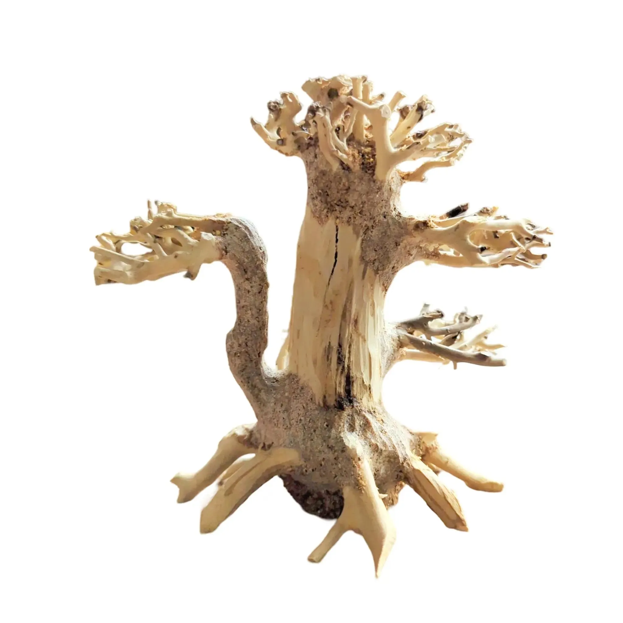 Bonsai Tree Driftwood - XS (13x10x13cm)