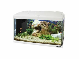 Capri 60 Led Black Aquarium