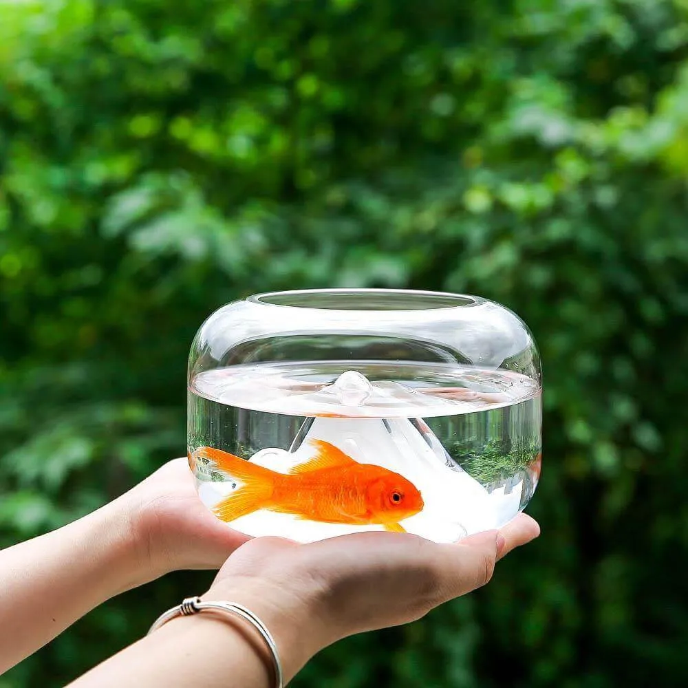 Creative Transparent Snow Mountain Fish Aquariums