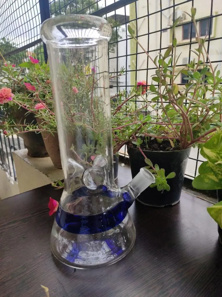 Fatty 12" Glass Bong