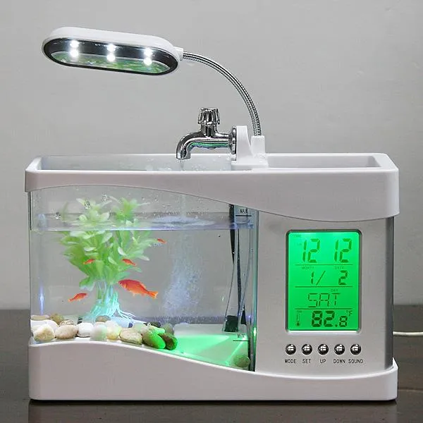 Intelligent Mini Fish Tank