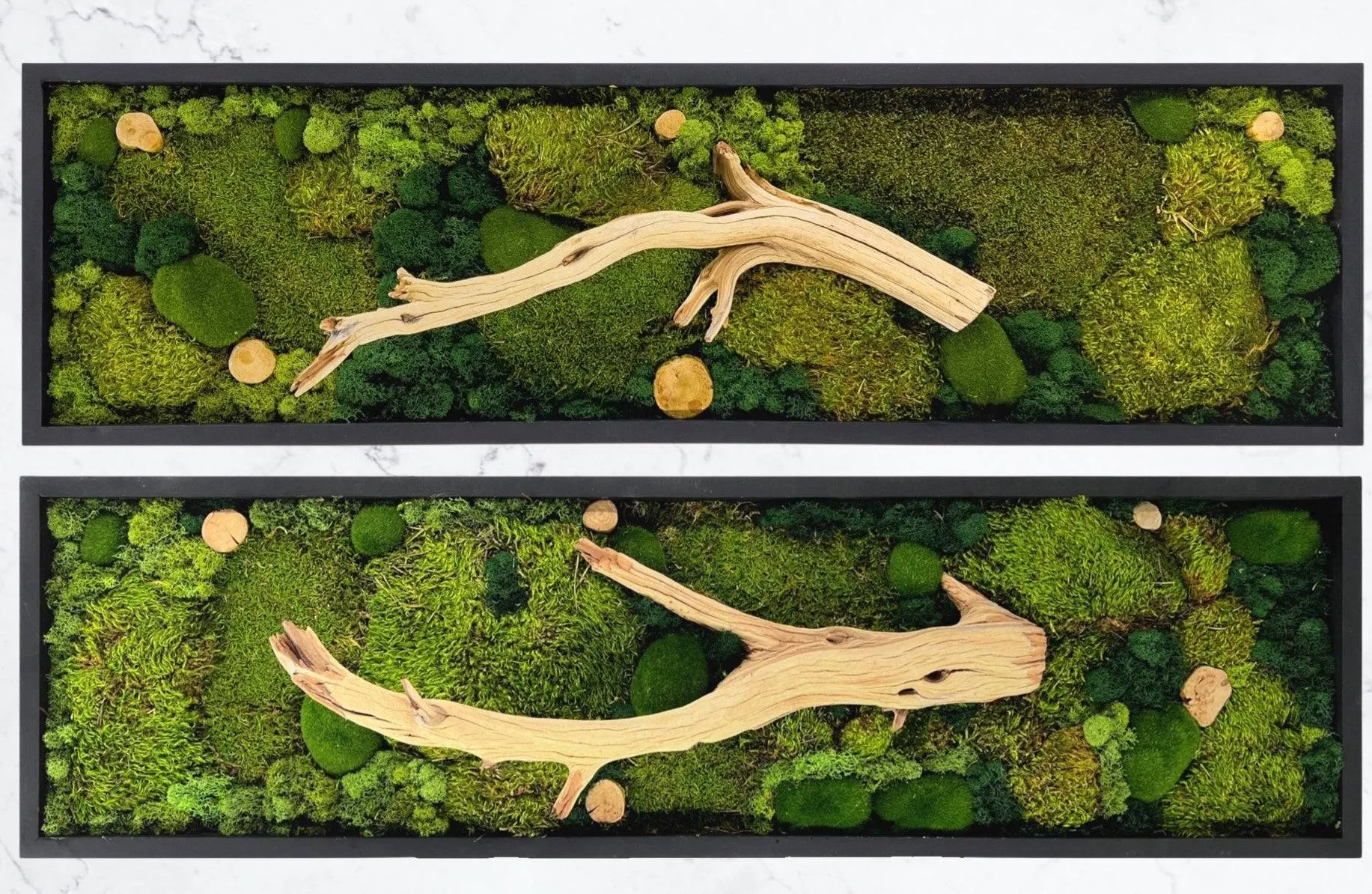 Natural Earthy Driftwood and Moss Art Piece