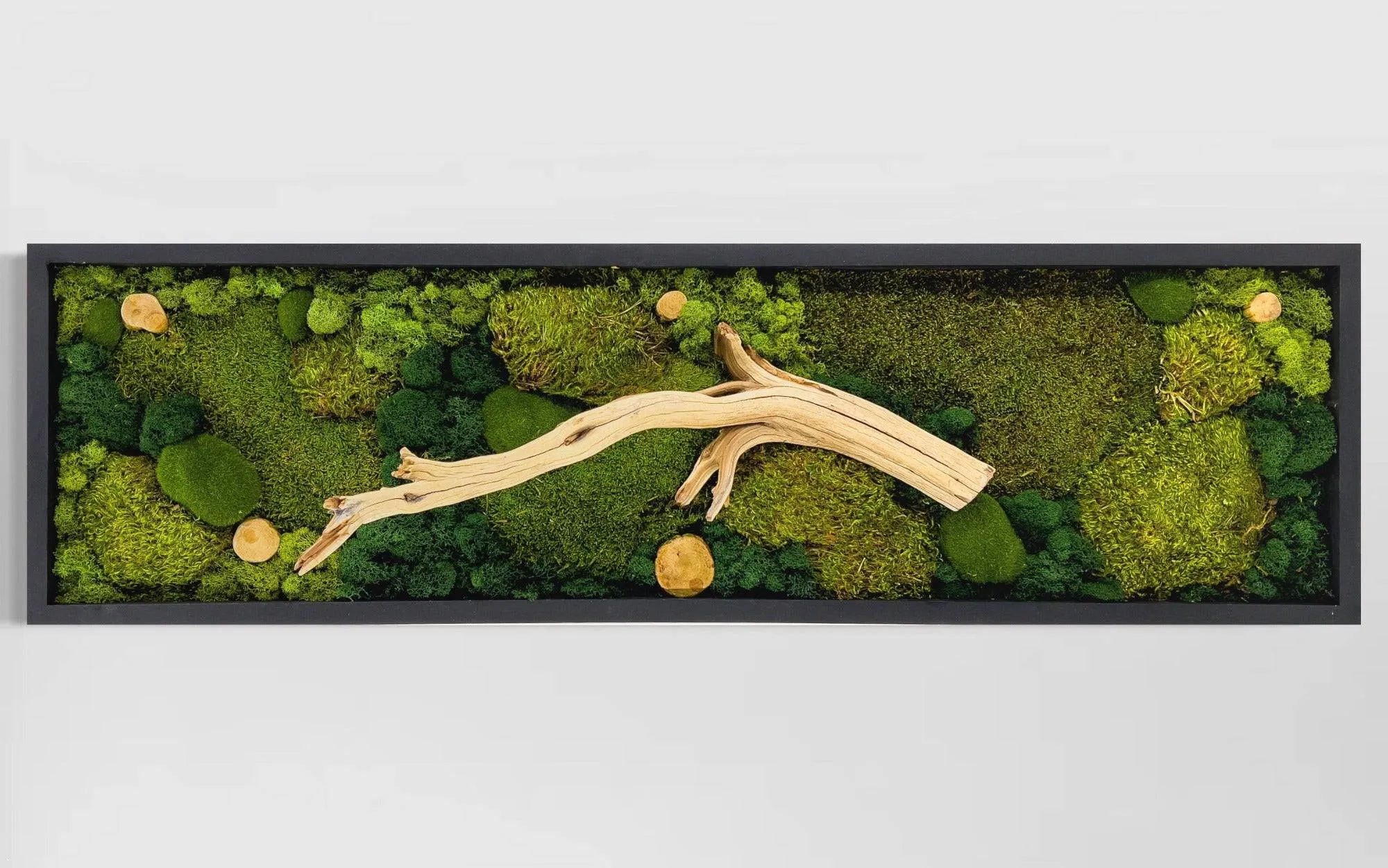 Natural Earthy Driftwood and Moss Art Piece