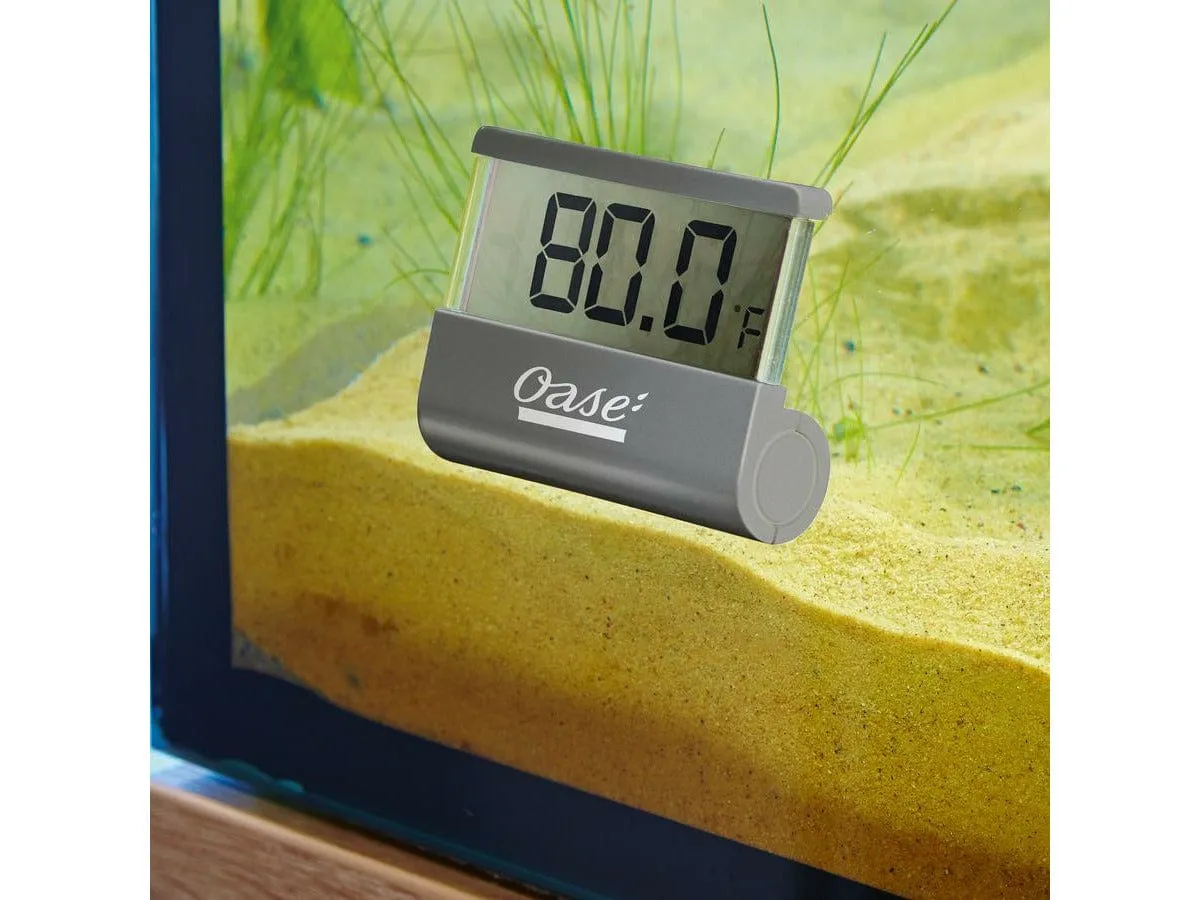 Oase Digital thermometer