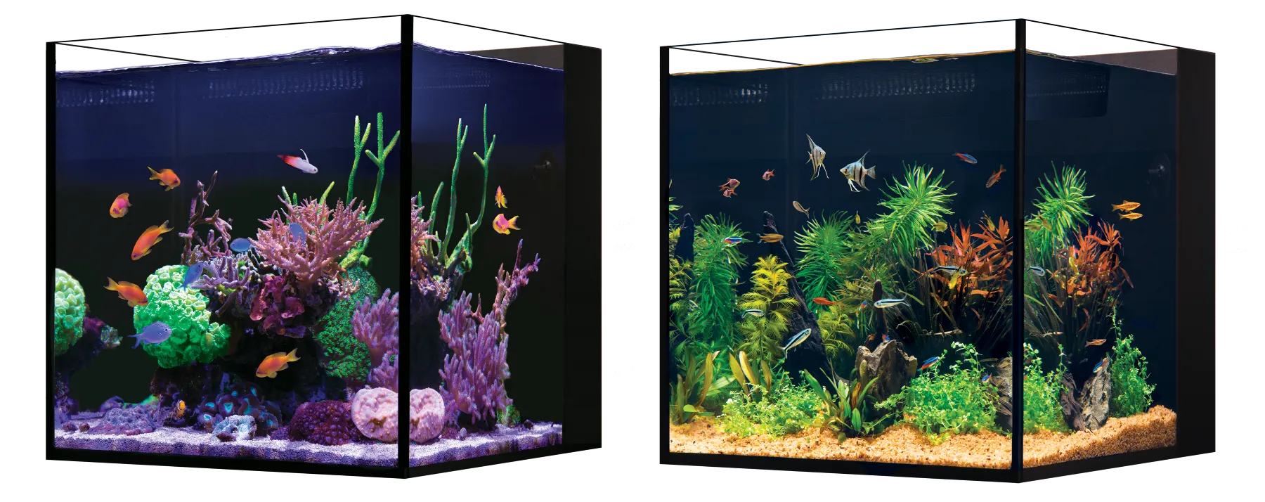 Red Sea Desktop Cube Tank 70L/18.5G - SPECIAL ORDER