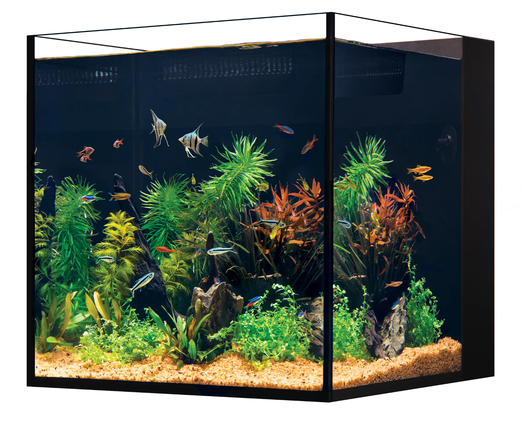 Red Sea Desktop Cube Tank 70L/18.5G - SPECIAL ORDER