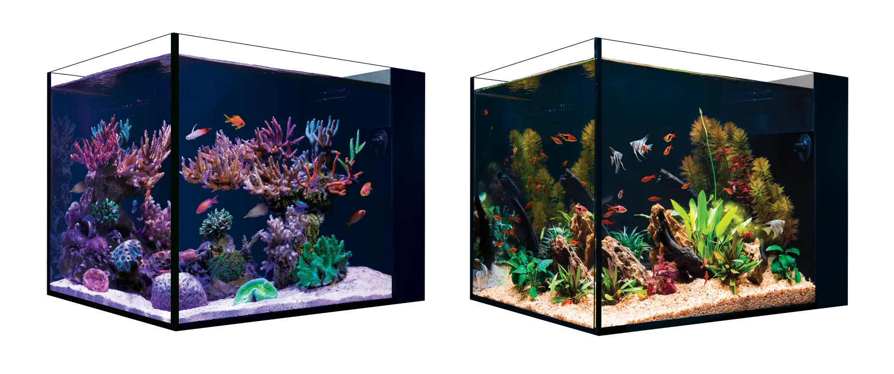 Red Sea Desktop Peninsula Tank - SPECIAL ORDER