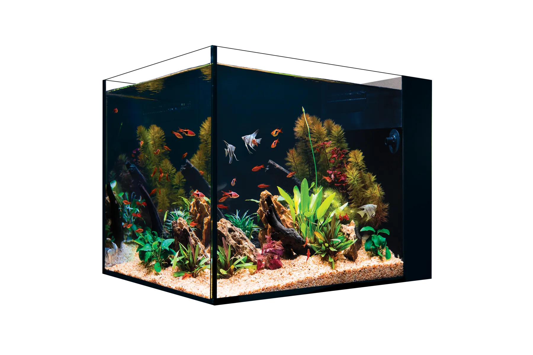 Red Sea Desktop Peninsula Tank - SPECIAL ORDER