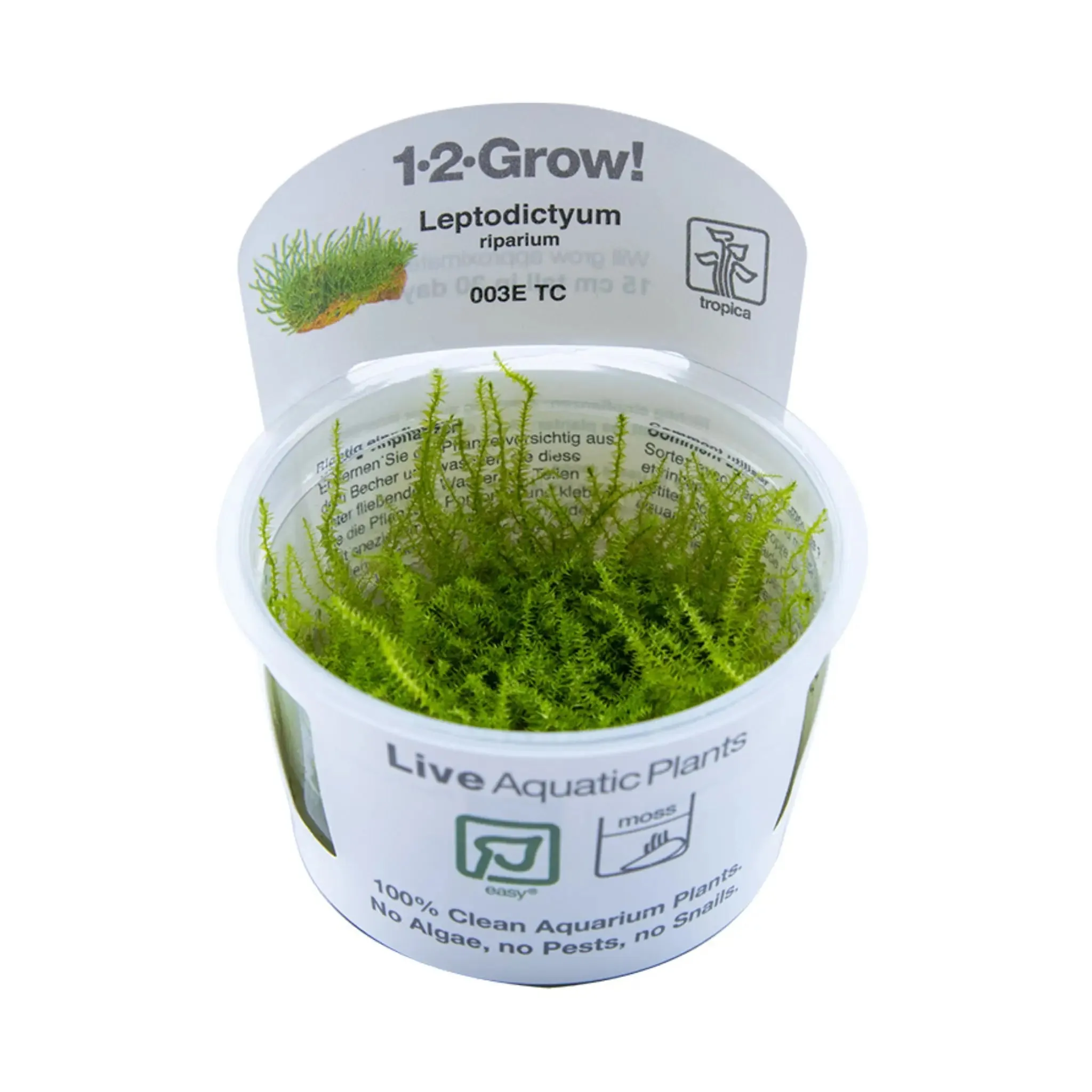 Tropica Leptodictyum riparium 1-2-GROW!