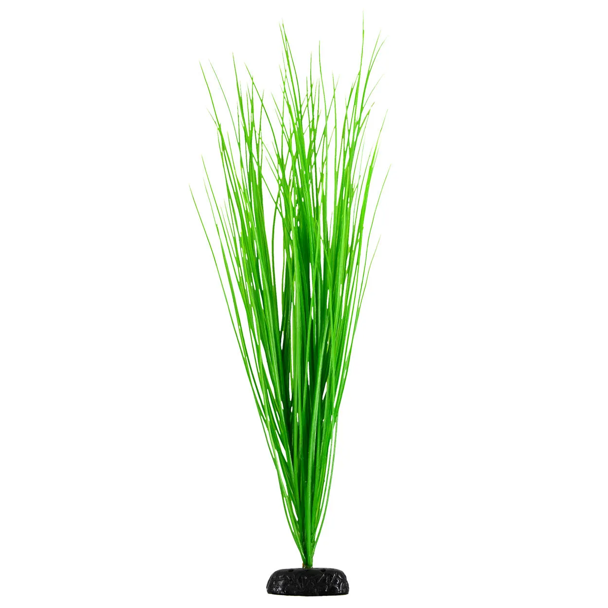 Underwater Treasures Green Hairgrass Plant