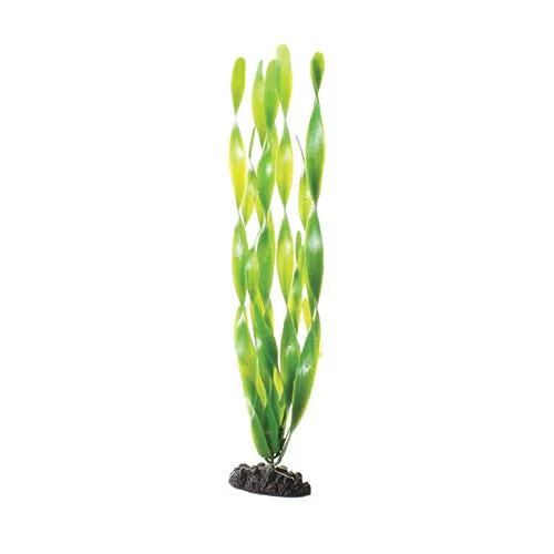 Underwater Treasures Green Jungle Vallisneria Plant