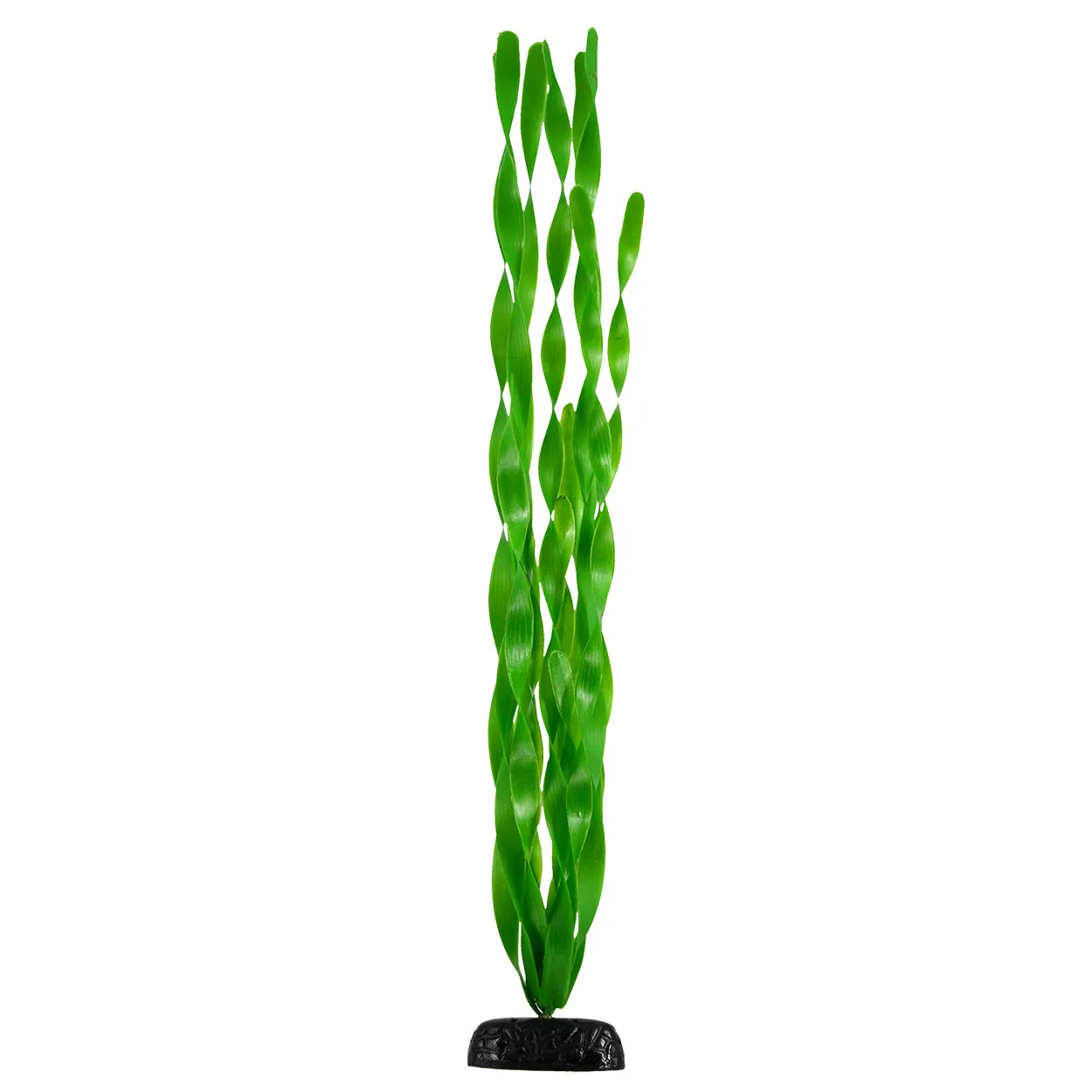 Underwater Treasures Green Jungle Vallisneria Plant