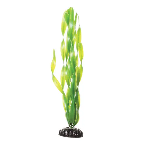 Underwater Treasures Green Jungle Vallisneria Plant