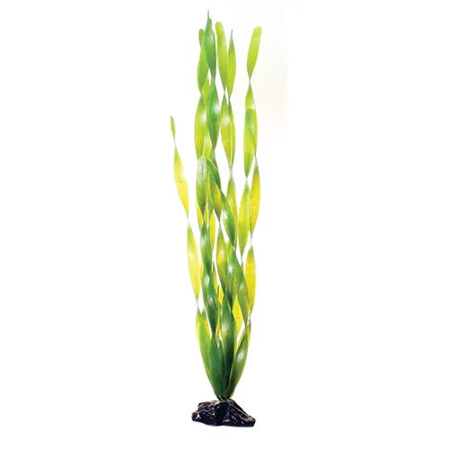 Underwater Treasures Green Jungle Vallisneria Plant