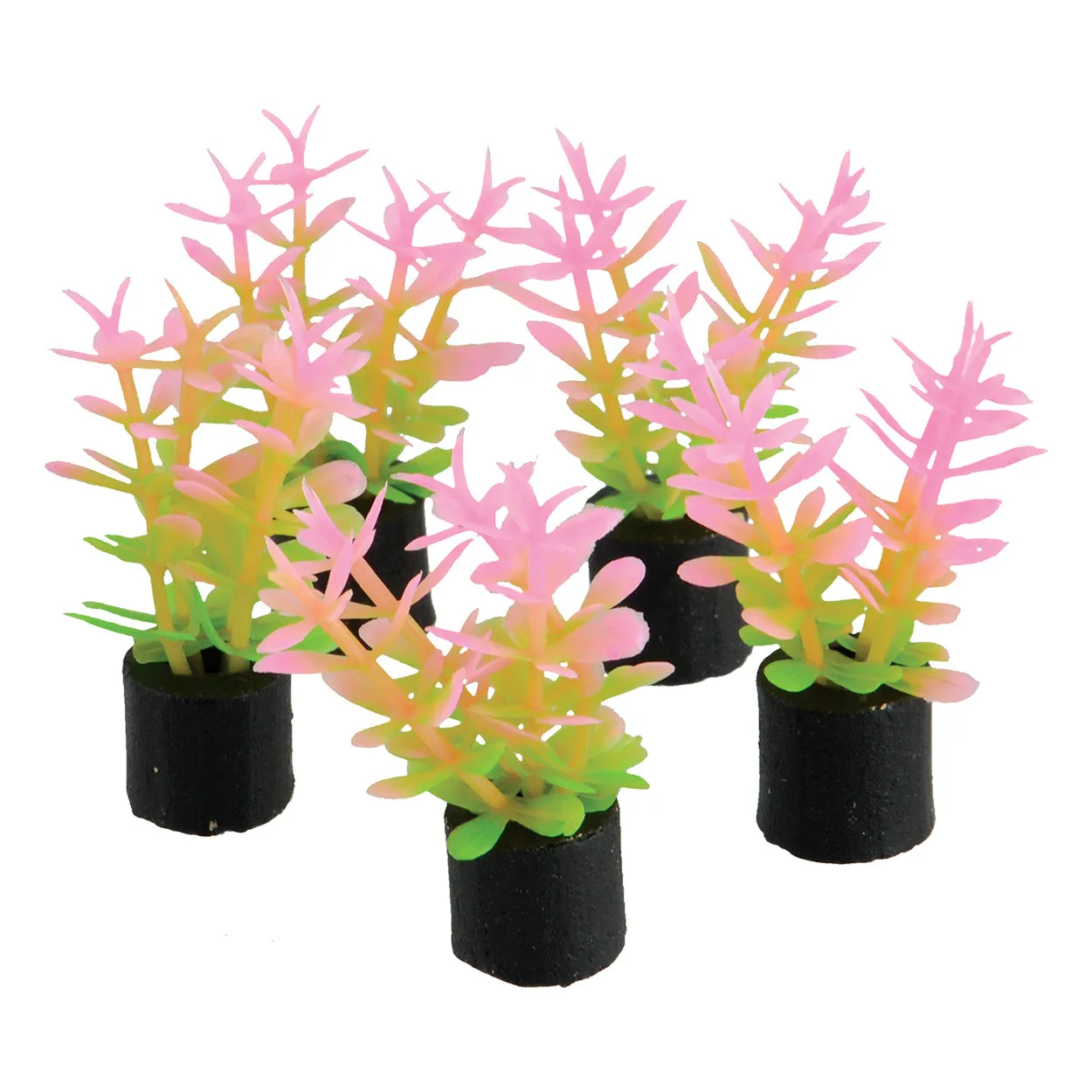 Underwater Treasures Mini Plant Pink and Green 1.5" 5 pack