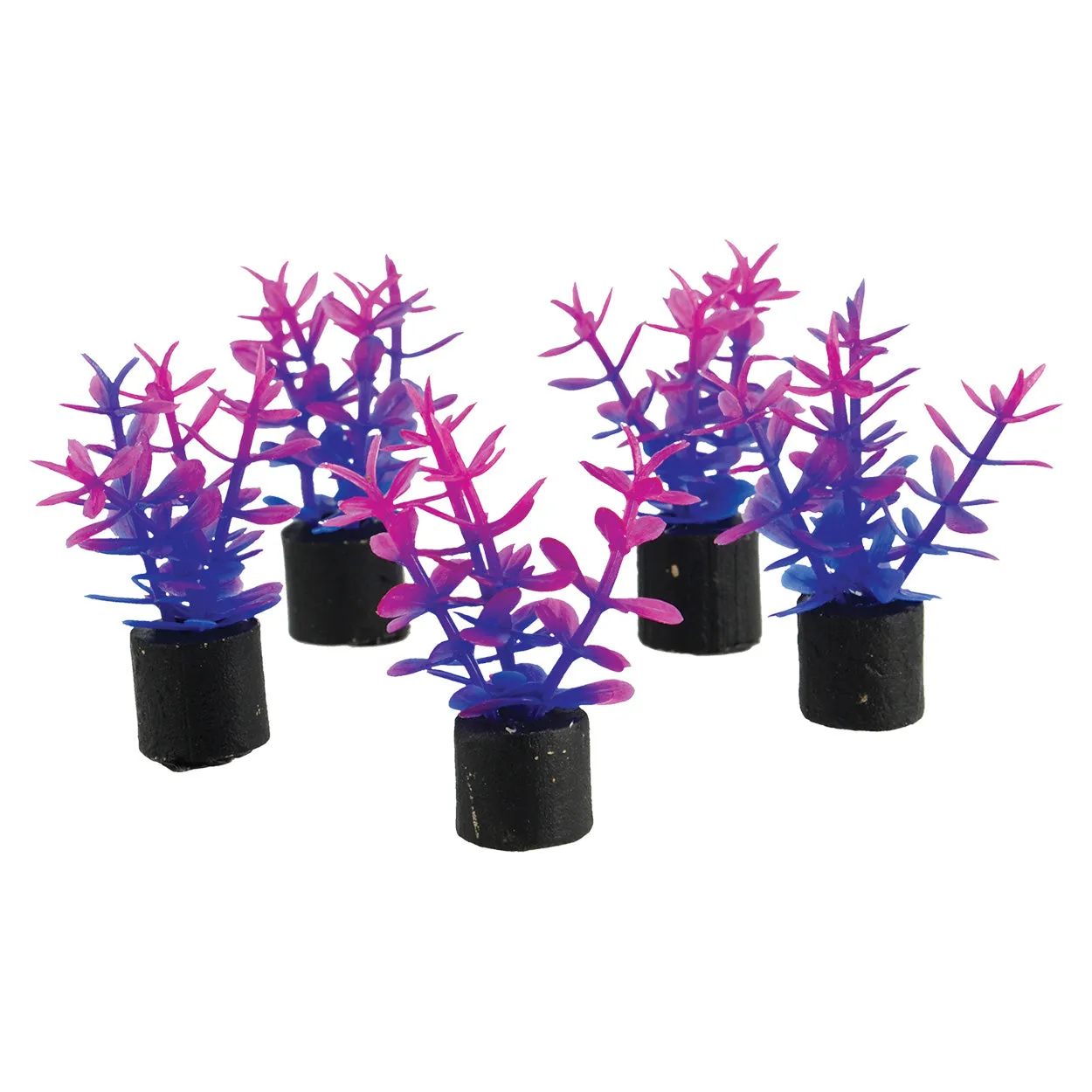 Underwater Treasures Mini Plant Violet 1.5" 5 pack