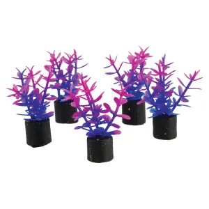 Underwater Treasures Mini Plant Violet 1.5" 5 pack