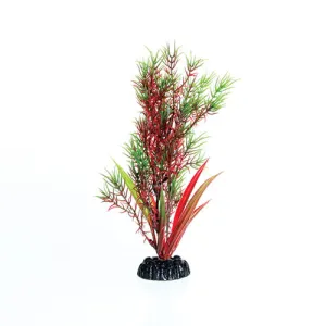 Underwater Treasures Red/Green Springeri Plant