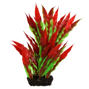 Underwater Treasures Vasiliki Crypt Red Green Plant 8 inch