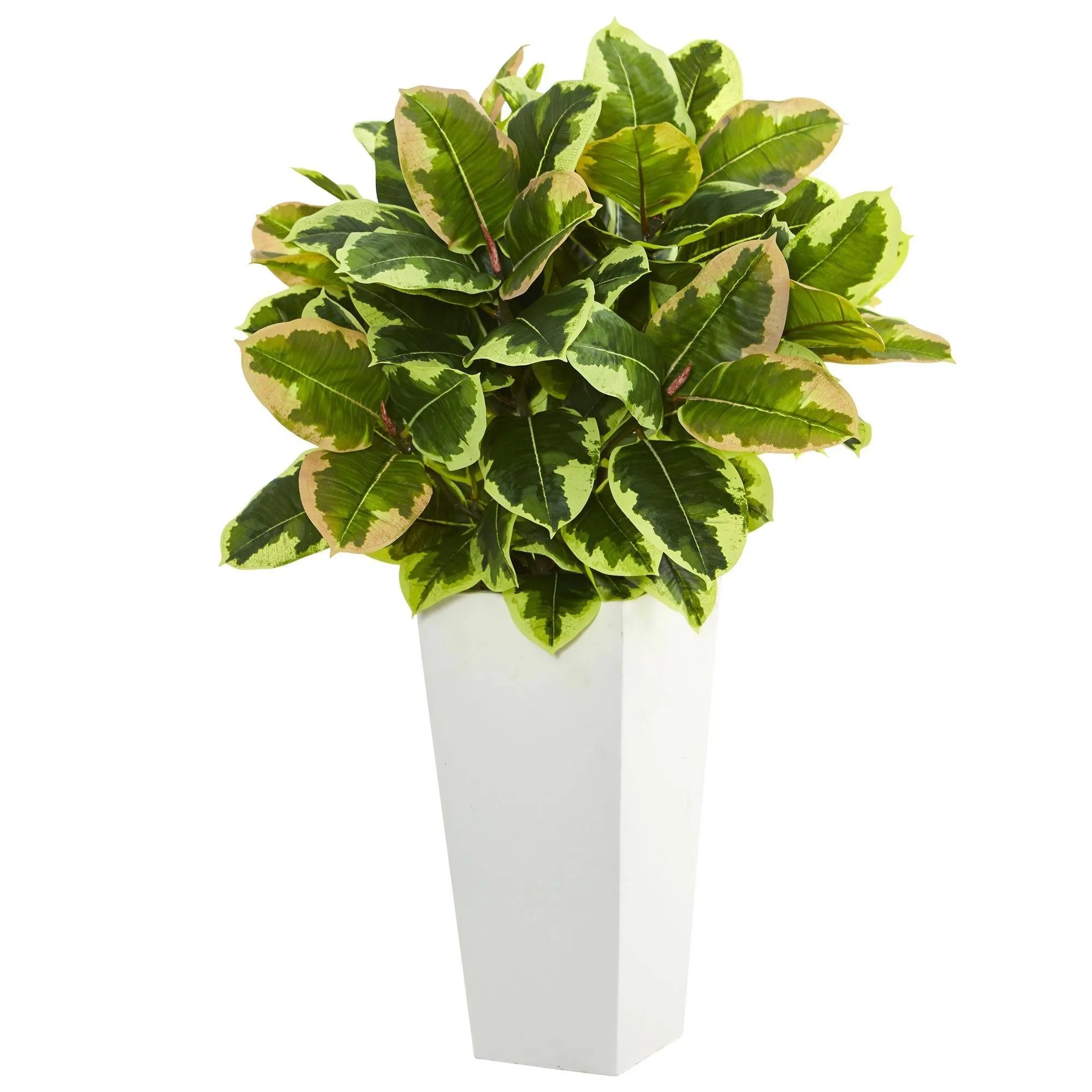 Variegated Rubber Artificial Plant in White Tower Planter  (Real Touch)